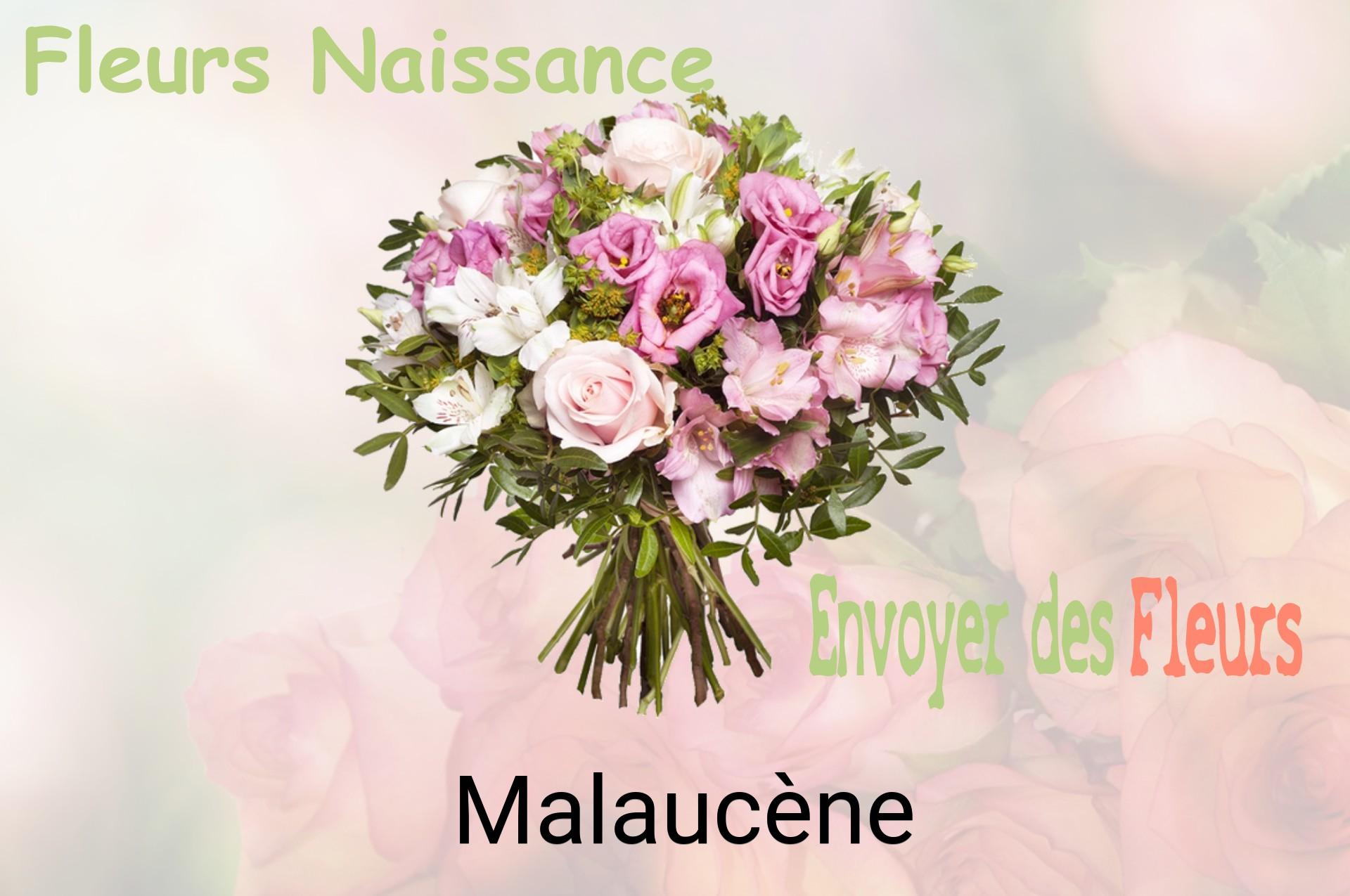 Bouquet de fleurs de naissance livré à Malaucène